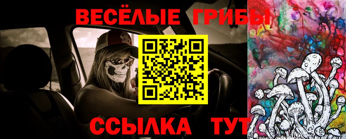 Псилоцибиновые грибы мицелий Новоуральск