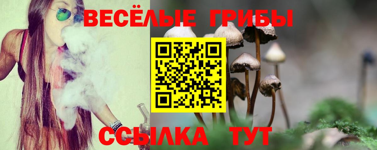 Новоуральск  Галлюциногенные грибы GOLDEN TEACHER  Вход с VPN 